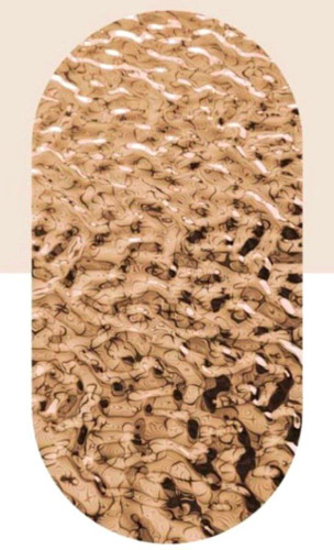 پنل موج دار بامبو رزگلد